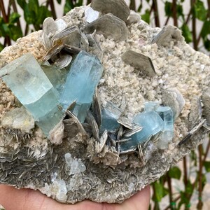 8231.5 Carats Huge Size Bunch of Aquamarine Crystal With Pink Apetite Combine Muscovite Specimen