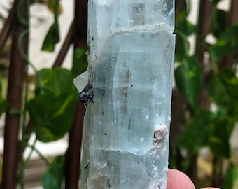 269 Carats Natural Beautiful Black Color Tourmaline Crystals On Aquamarine Crystal