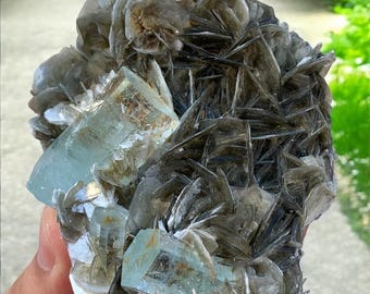 Bellissimo cluster di cristalli di acquamarina con campione di muscovite proveniente dalla valle di Nagar, Pakistan. Materie prime, campione di minerali, 1500 carati.