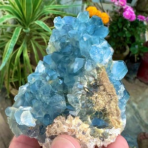 1775 Carats Natural Combination of Blue Celestine with Calcite Specimen