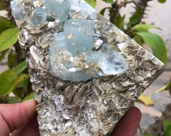 4448.5 Carats Natural Beautiful Complete Terminated Aquamarine Crystal with Muscovite Combine Specimen