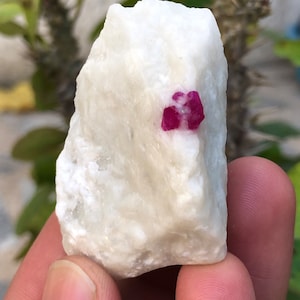 Op de afbeelding: Een kleine, witte, ruwe steen met een helderroze robijnkristal dat in het midden is ingebed.