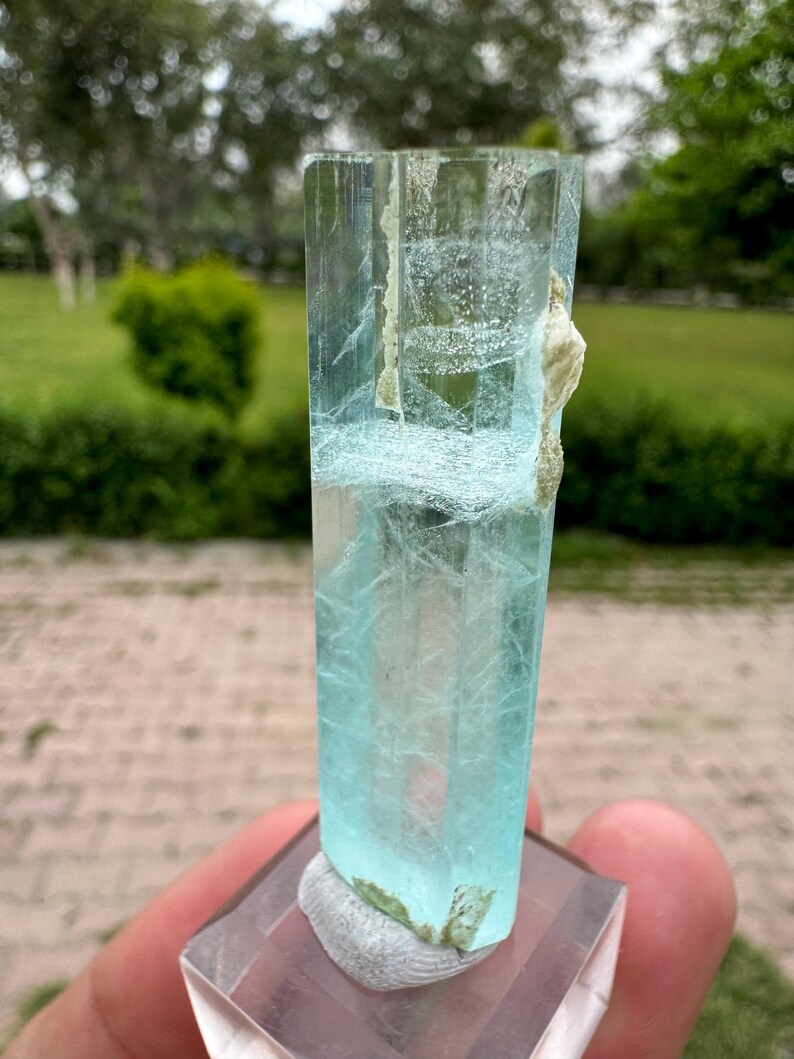 Pu&ograve; includere: Un esemplare di cristallo trasparente color acquamarina. Il cristallo &egrave; montato su una base rettangolare trasparente con un materiale strutturato di colore chiaro alla base. Lo sfondo &egrave; una vista sfocata di fogliame verde.