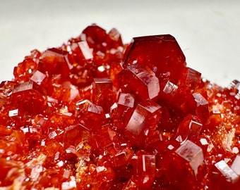 Amas de cristaux de vanadinite de 865 carats sur matrice provenant du Maroc, spécimen, minéraux, pierres précieuses