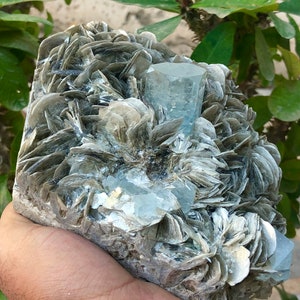 9713.5 Carats Huge Size Beautiful Natural Color and Complete Terminated Aquamarine Crystal With Muscovite Combine Specimen