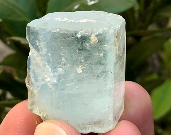 236.5 Carats Terminated Beautiful Aquamarine Crystal with Combine Muscovite Specimen