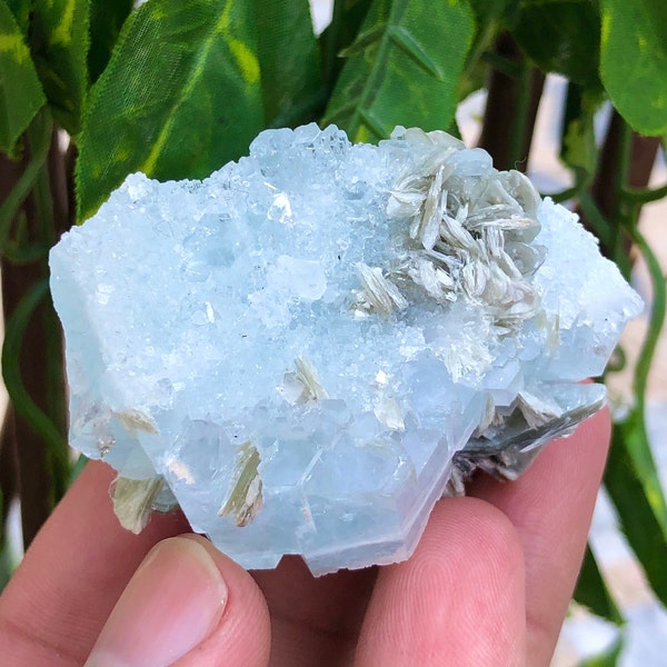 353 Carats Natural Beautiful Terminated Cluster Aquamarine on Muscovite Combine Specimen