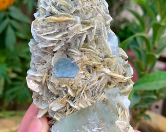 960カラットの美しいアクアマリン結晶、白雲母標本、鉱物、宝石 - Etsy