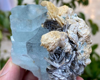 Beau cristal d'aigue-marine de 1590 carats sur un spécimen de combinaison de muscovite et d'albite