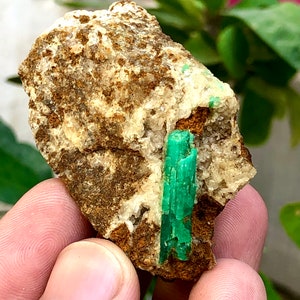 Peut inclure: Une roche brute, brune et blanche avec un cristal d'émeraude vert vif incrusté.