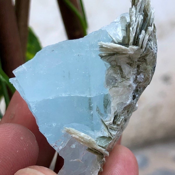 254.5 Carats Natural Beautiful Blue Color aquamarine Crystal with Muscovite Specimen