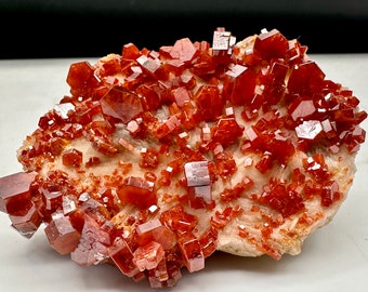 Amas de cristaux de vanadinite de 560 carats sur matrice en provenance du Maroc .