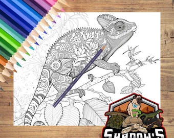 5 Beautiful Animal Coloring Pages