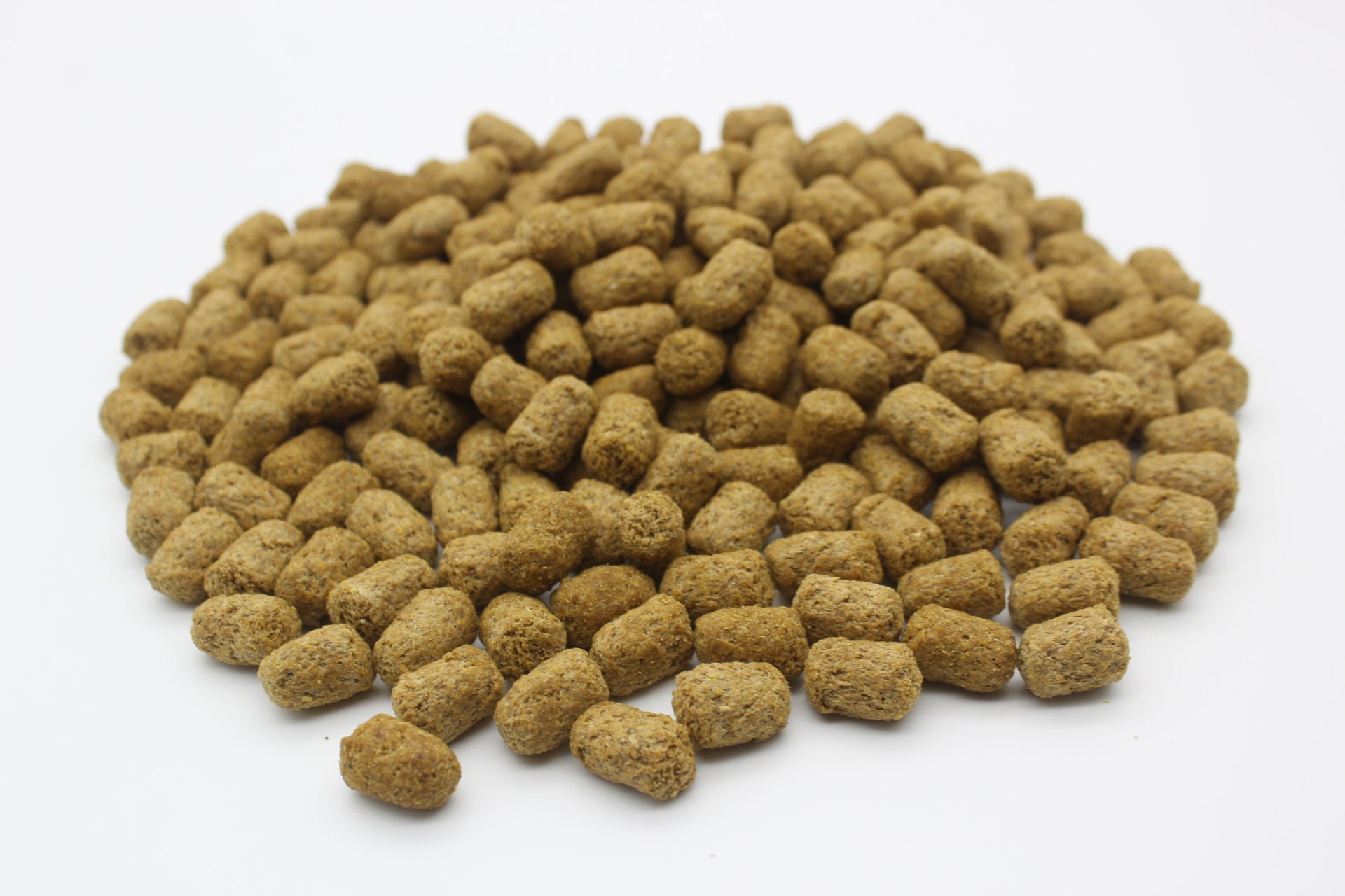 Mazuri hotsell tortoise food