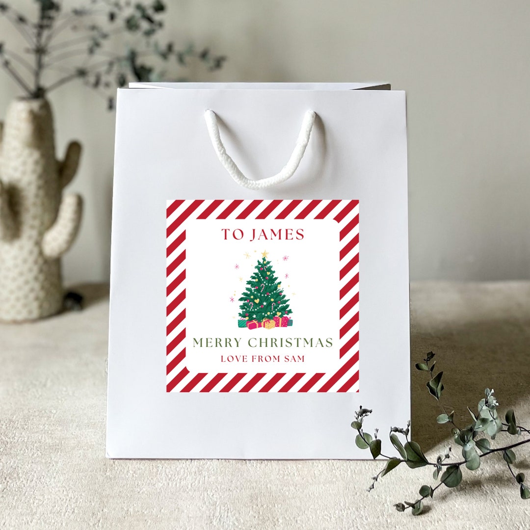 Clysee 48 Pcs Reusable Christmas Gift Bags With Tissue