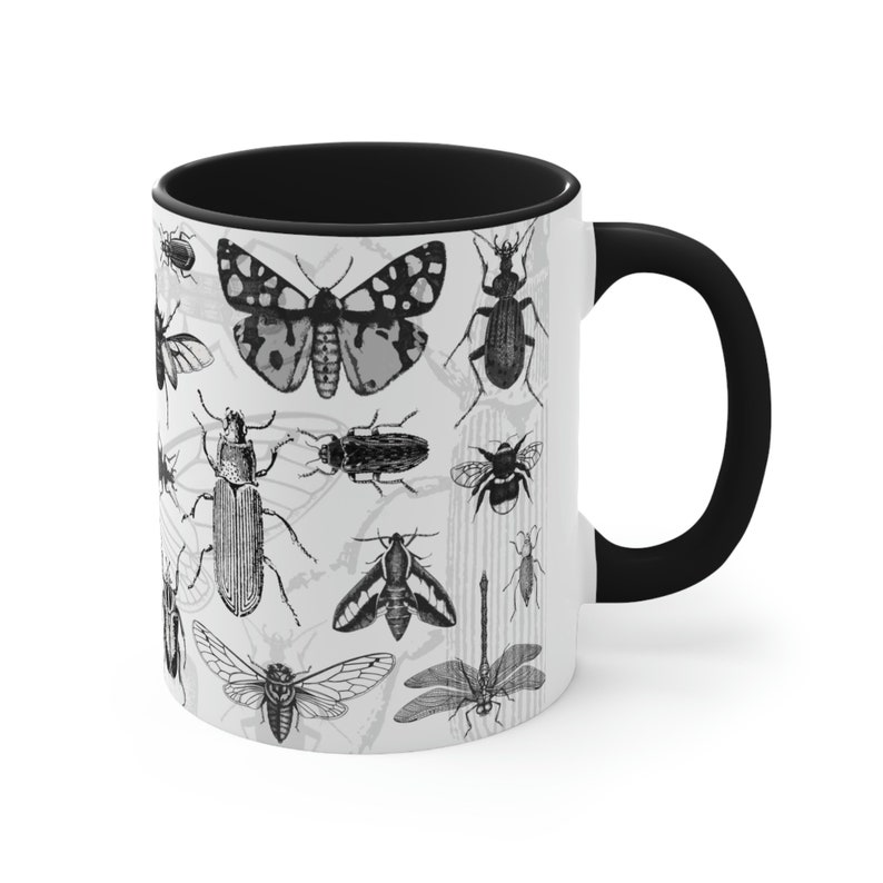 Entomology Mug, Insect Gift, Bug Mug, Naturalist, Beetles, Butterflies ...