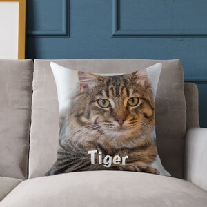 May include: A brown and tabby cat with green eyes on a white pillow with the name "Tiger" printed on it.