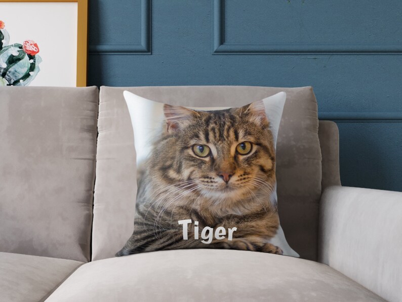 May include: A brown and tabby cat with green eyes on a white pillow with the name "Tiger" printed on it.