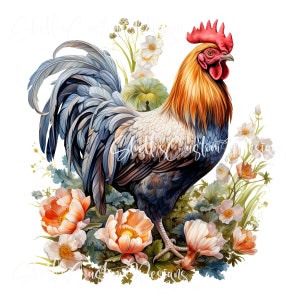 May include: A watercolor illustration of a rooster with a red comb and wattle, orange and gold feathers, and a blue and gray tail. The rooster is surrounded by peach and white flowers and greenery. The text "Always Custom Designs" is in the image.