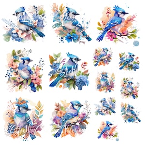 12 x 12 printed Vinyl BlueJays Blue Jay floral birds decals
