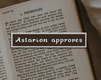Astarion approva - Schema punto croce segnalibro BG3