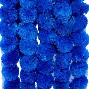 K&ouml;nnte beinhalten: Eine dekorative Girlande aus zahlreichen leuchtend blauen Kunstblumen. Jede Bl&uuml;te besteht aus dicht gedr&auml;ngten, d&uuml;nnen, gekr&auml;uselten Bl&uuml;tenbl&auml;ttern in einer kreisf&ouml;rmigen Pompon-Form, was ein gleichm&auml;&szlig;iges und strukturiertes Erscheinungsbild erzeugt.