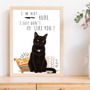 Black Cat Poster,Funny Digital Art Print, Cat Lover Wall Decor,Printable Wall Art, Cat Lover Gift, Funny Cat Poster Home Decor Cat owner