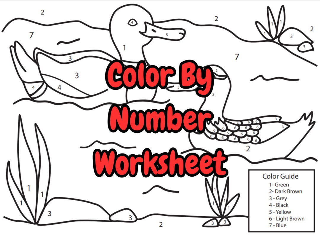 Color by Numbers Worksheets School Assignments Printable Instant ...