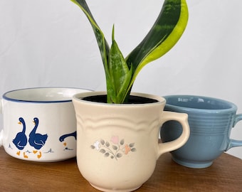 Mug Planters with Drainage Hole