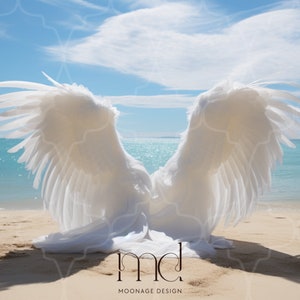 8 Ultra Hi-Res Digital Backdrops, Maternity Backdrop Overlays, beach Angel Wings, Studio Backdrops, Photoshop Fine Art Textures