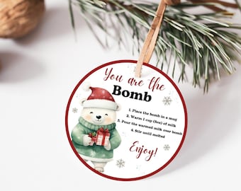 Christmas Hot Chocolate Bomb Tag, Hot Cocoa Kit, Cute Teddy Bear Hot Cocoa Tags, Hot Chocolate Tags, Red Christmas Decorations