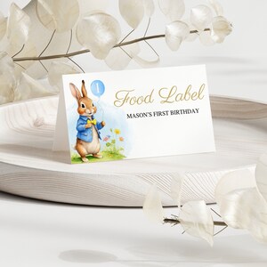 Carte per tenda di cibo di compleanno di Peter Rabbit, etichette con nome festa di Peter Rabbit, segnaposto coniglietto flopsy, carte per posti a sedere al tavolo di compleanno di Coniglio