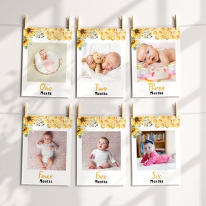 Bannière photo mensuelle Premier anniversaire de l'abeille, Cartes d'événement marquantes bébé bourdon, Événements marquants du mois avec décoration abeille, Bannière 1er anniversaire d'abeille, Fête des abeilles