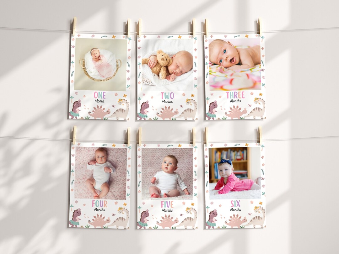 Girl Dinosaur Birthday Photo Banner | Dino 1st Birthday Baby Milestone ...