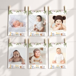 Tarjetas de hitos del bebé de un cumpleaños salvaje, estandarte de fotos de cumpleaños de Safari, estandarte de cumpleaños de la selva, marcadores de hitos mensuales, fiesta salvaje