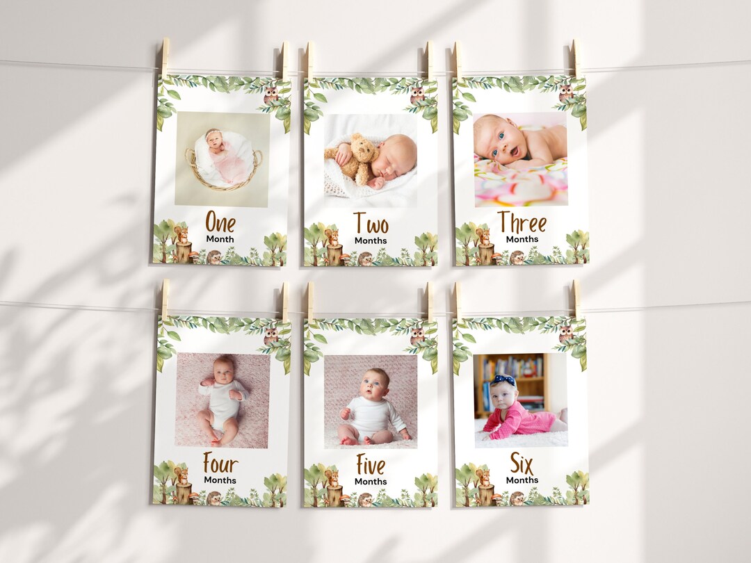 Woodland Animals Baby Milestone Banner | Forest Animals Monthly Photo ...