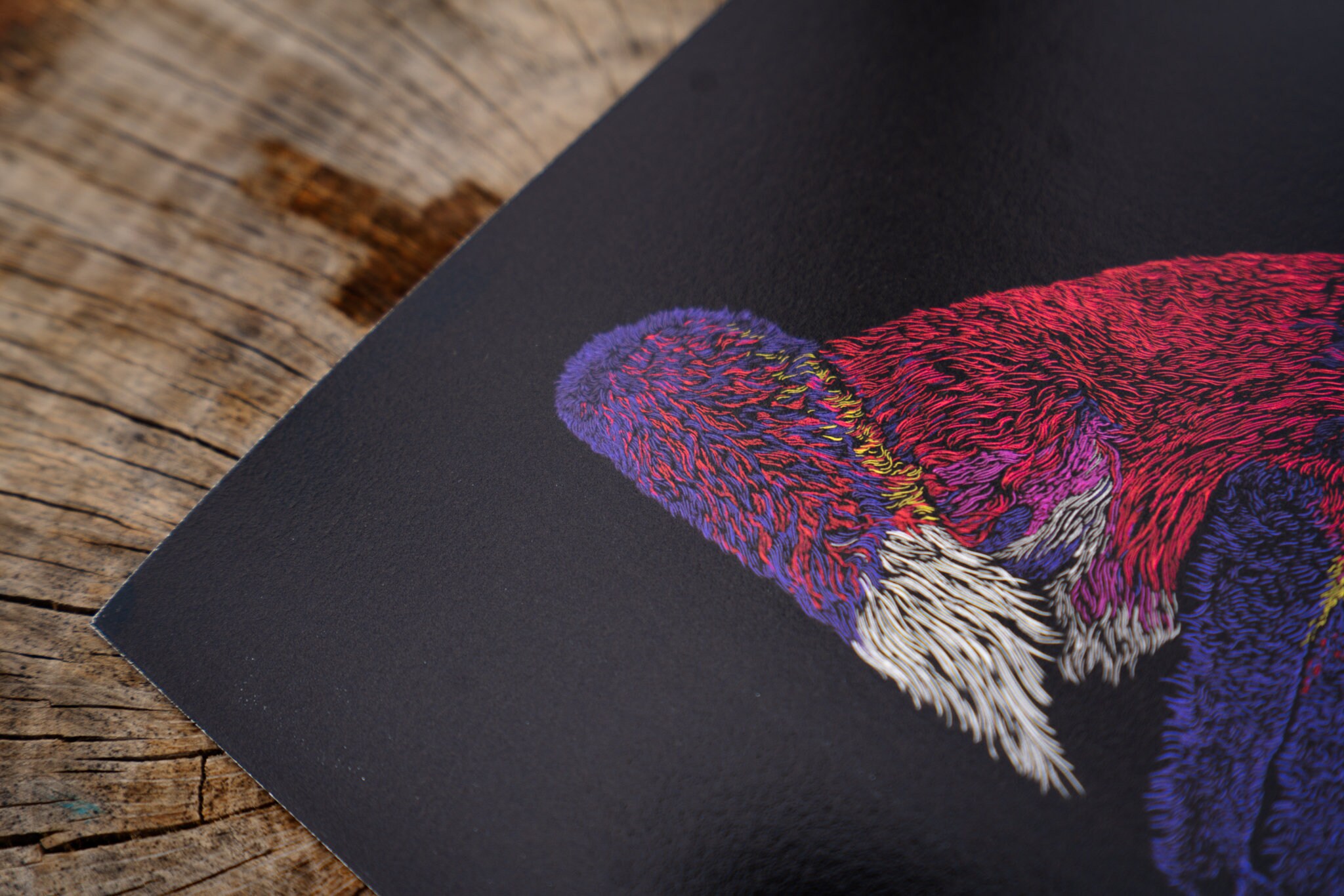 Red Fox Art Print, Giclee' Art Prints, Wildlife Artwork, Foxes ...