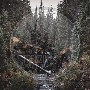Deep Forest