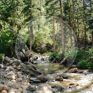 Illusive River