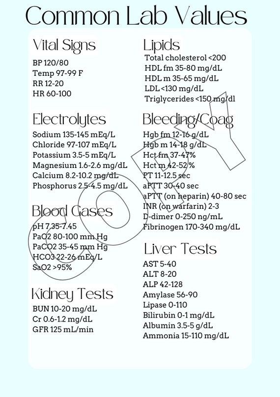 Common Lab Values Etsy
