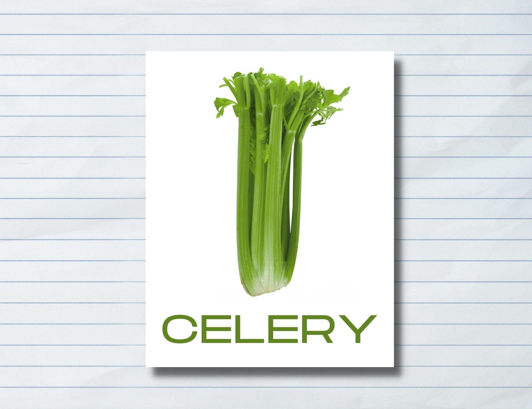 Boy Meets World Celery Poster 11 X 14 Etsy
