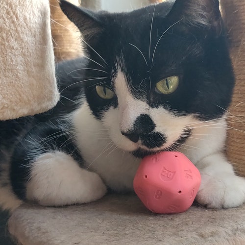 Flying Batnip Catnip Toy Bat on a Stick Fishing Pole Etsy