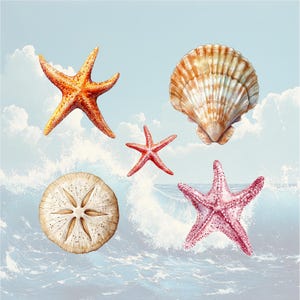 May include: A collection of seashells and starfish on a blue and white background. The seashells are a light brown color with a white interior. The starfish are orange, red, and pink.