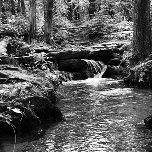 Digital Black and White Wall Art Printable Home Decor Waterfall