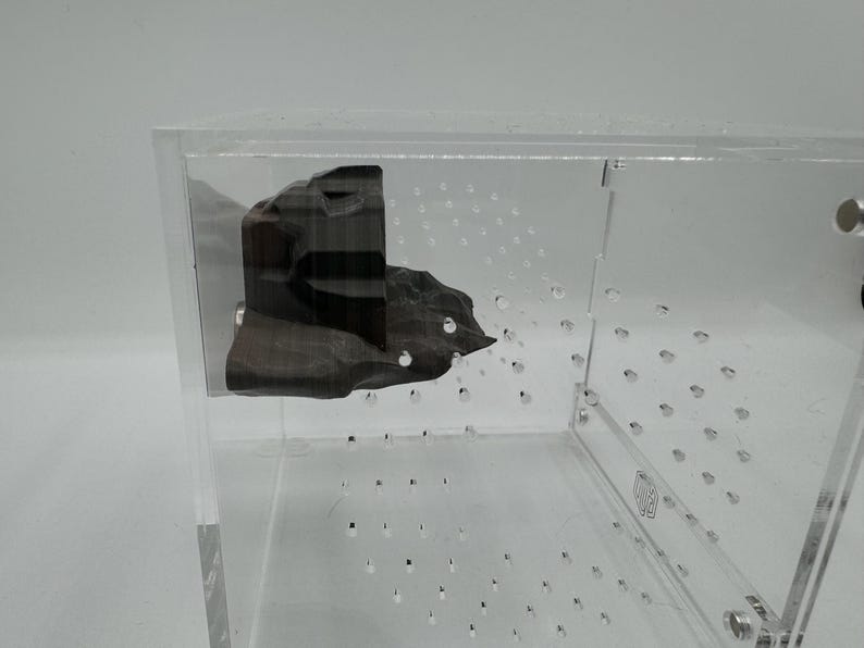 Magnetic Cave Jumping Spider Hide/ Ledge *built in Magnet* - Etsy