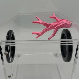 Branch ledge for jumping spiders and invertebrates *Built In Magnet*