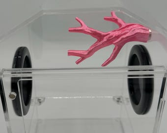 Branch ledge for jumping spiders and invertebrates *Built In Magnet*