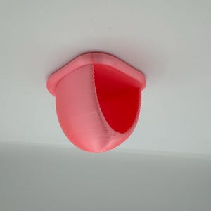 Magnetic “Igloo” Jumping Spider Hide *Built In Magnet*