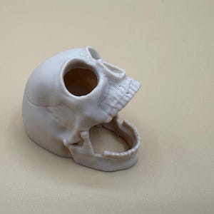 以下が含まれることがあります： 白い3Dプリントの頭蓋骨。口が開いており、歯が見える。頭蓋骨は斜めに配置され、眼窩と鼻腔が示されている。オブジェクトは、ニュートラルな明るい色の背景に配置されている。