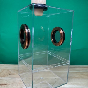 4x4x7.25” Clear invertebrate enclosure with bronze  vents